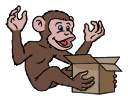 Package Monkey Small